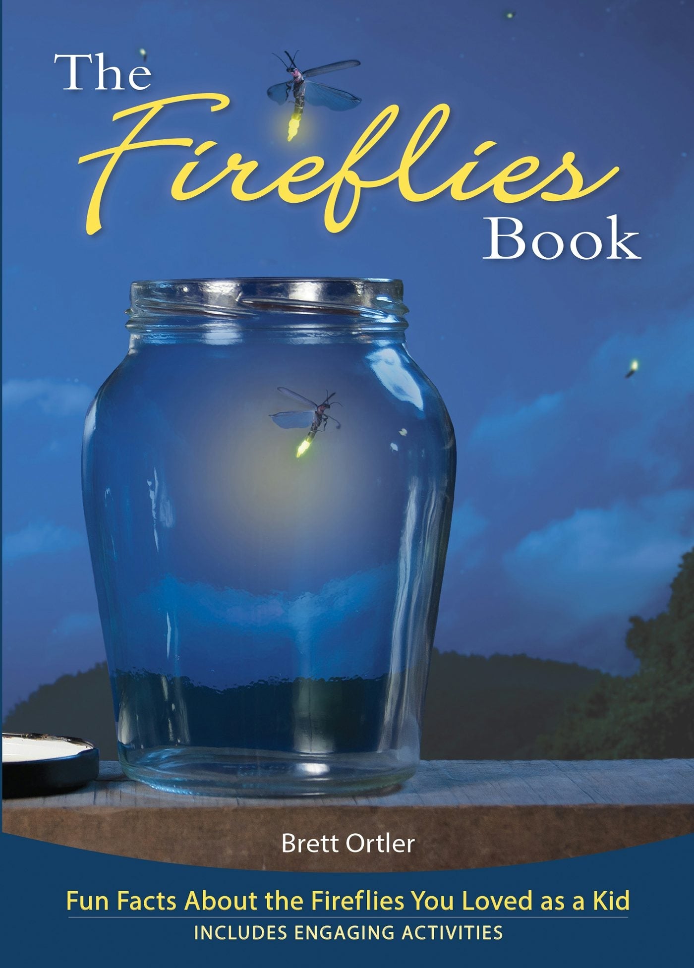 Book cover image for Fireflies Book ISBN: 9781591934820